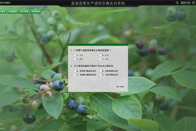 蓝莓-有效生长技术虚拟仿真实训软件